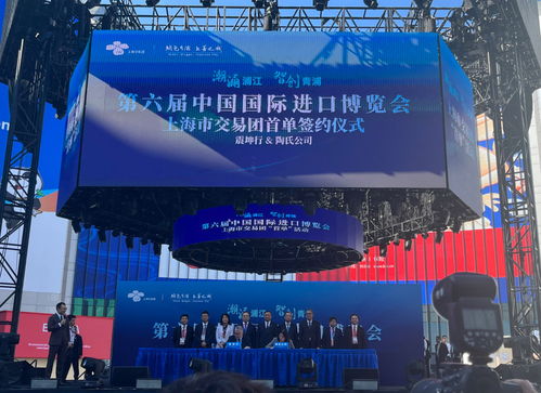 放眼世界，只有中國可以辦進(jìn)博會這樣的展會——從丁一凡觀點看軟件代理服務(wù)的機(jī)遇與前景